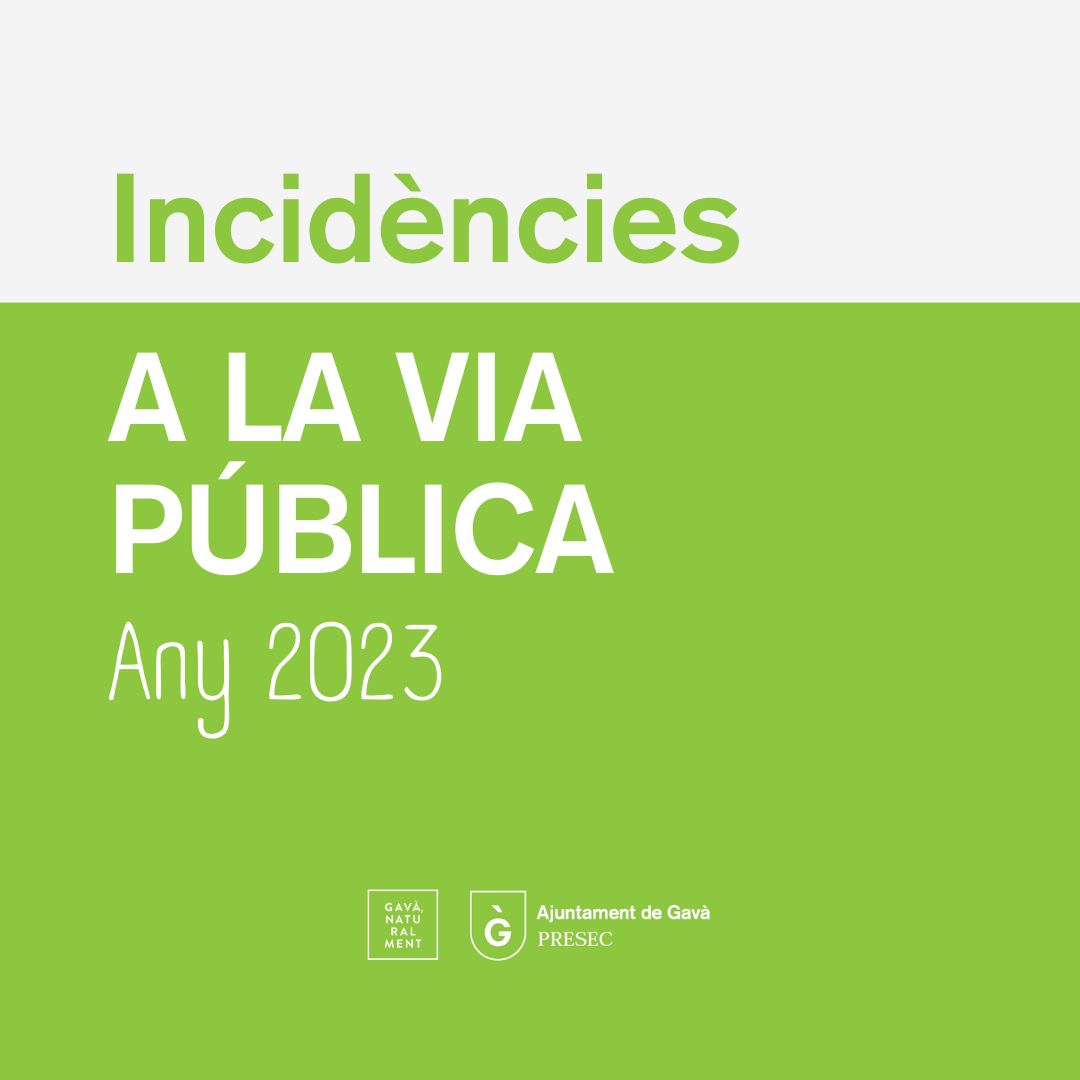 Incidències detectades a la via pública durant 2023